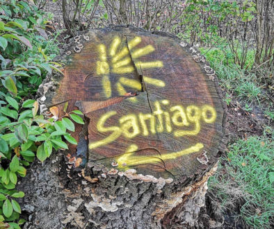 Pilgerwege Deutschland - Zeichen nach Santiago auf Baumstamm