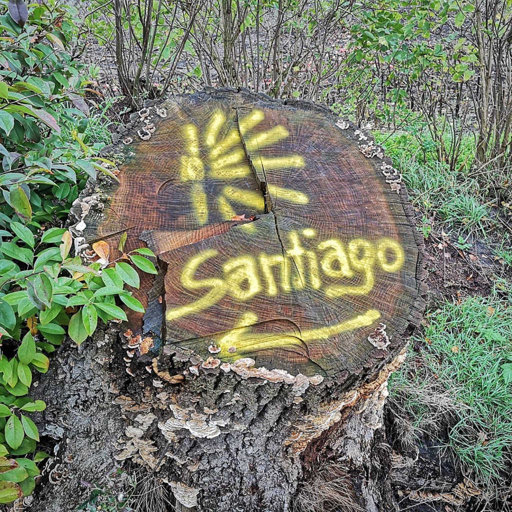 Pilgerwege Deutschland - Zeichen nach Santiago auf Baumstamm