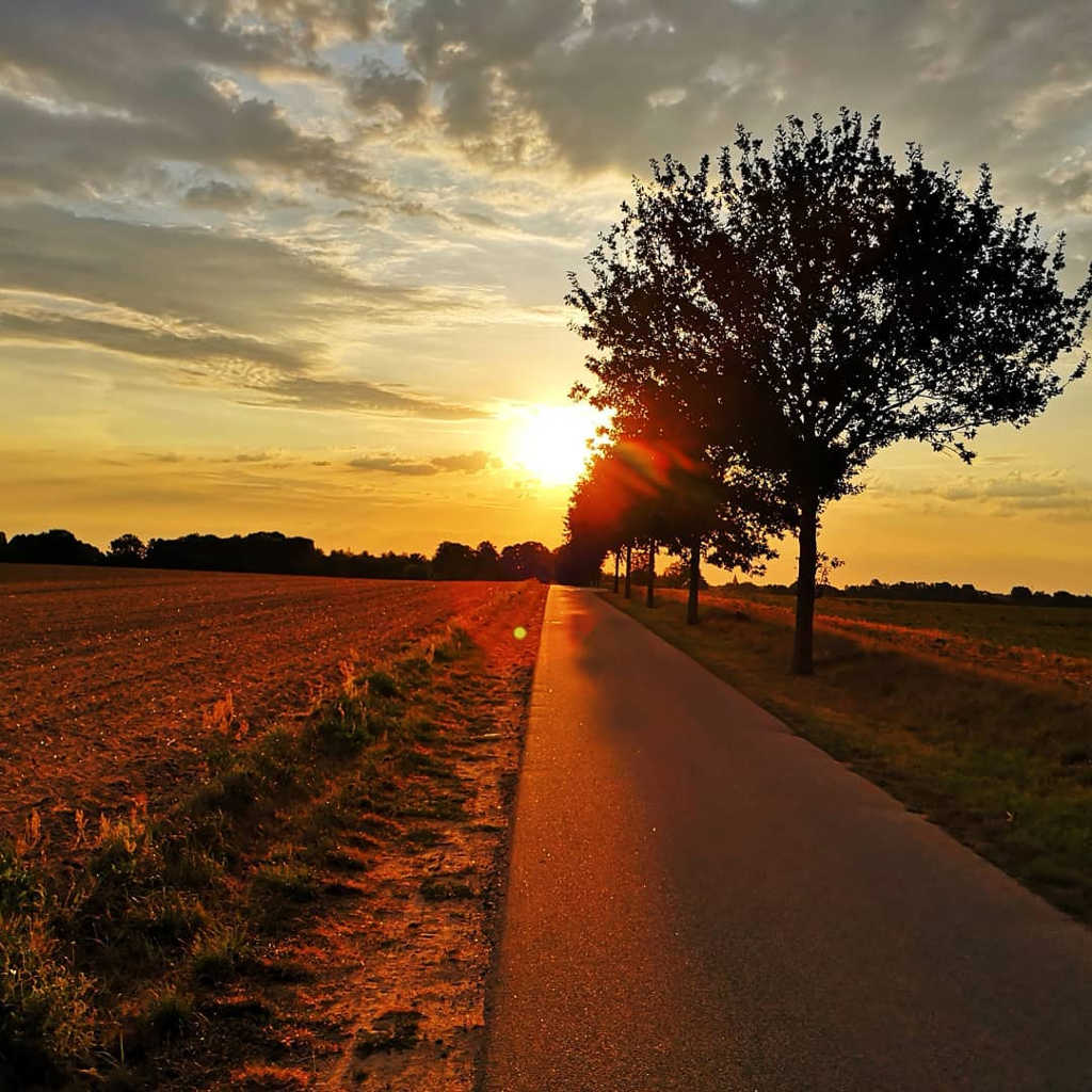 Der Weg ist das Ziel ©Jens