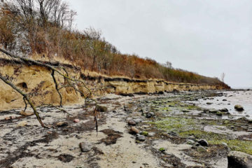 Winterwanderung in Deutschland - Insel Poel