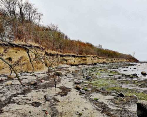 Winterwanderung in Deutschland - Insel Poel