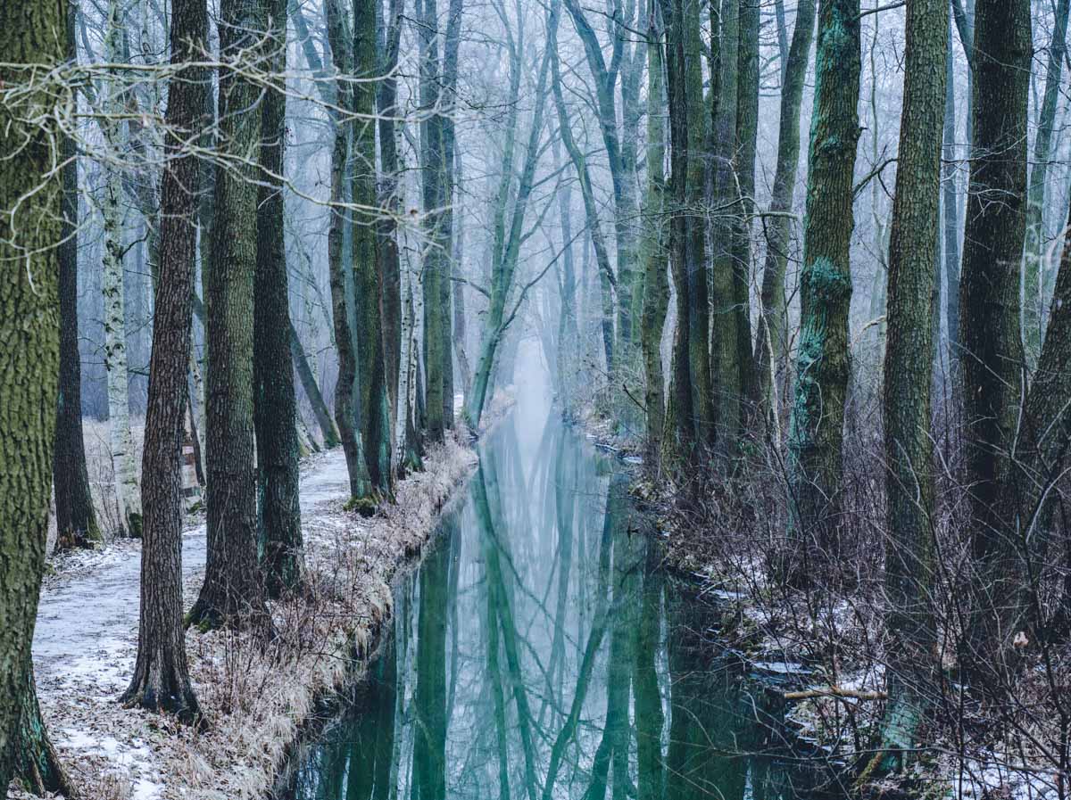 Spreewald im Winter ©blickgewinkelt