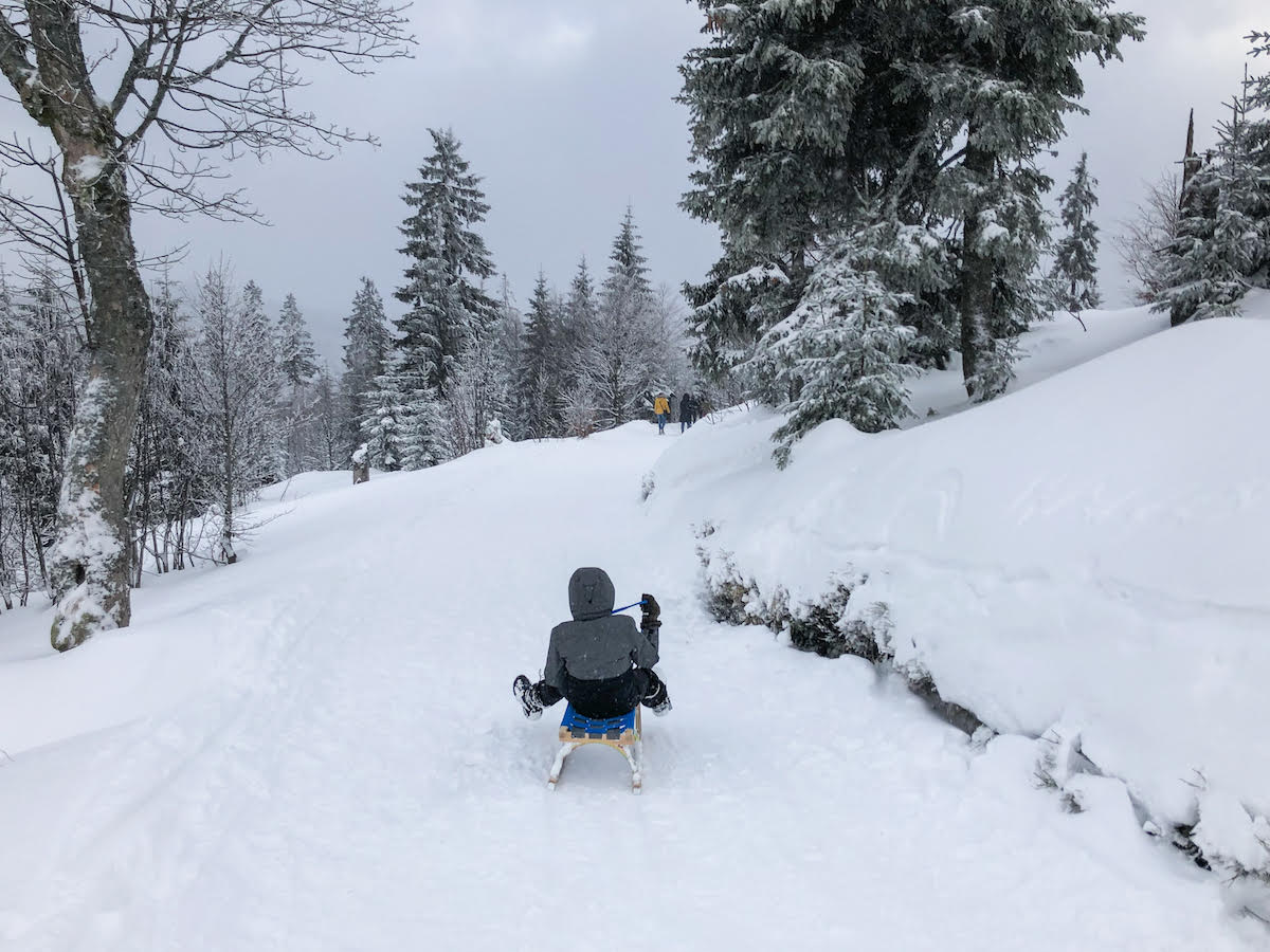 Schlittenfahrt im Bayerischen Wald ©Unterwegs mit Kind