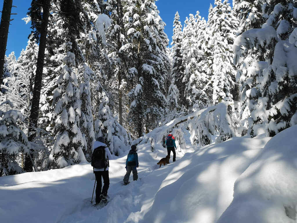 Winterwanderung in der Schweiz