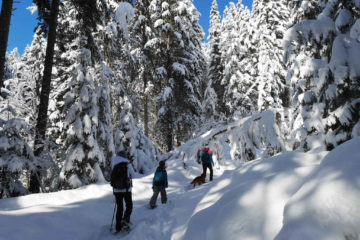 Winterwanderung in der Schweiz