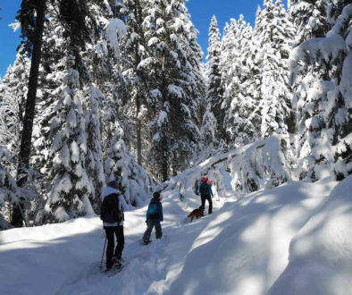 Winterwanderung in der Schweiz