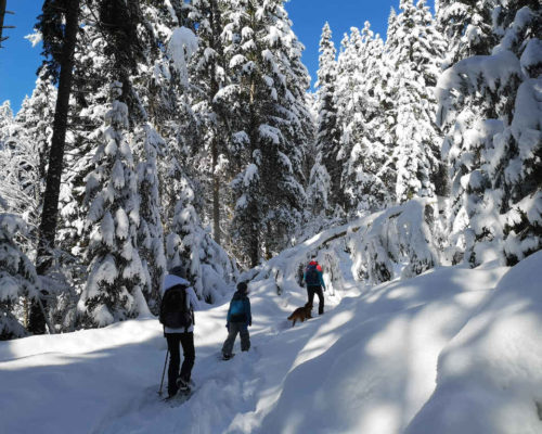 Winterwanderung in der Schweiz