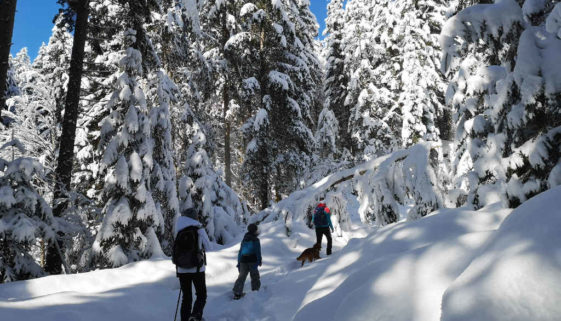 Winterwanderung in der Schweiz