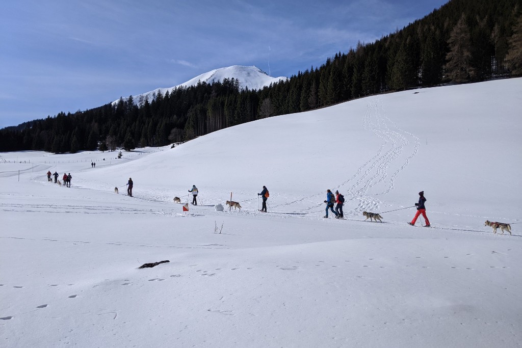 Husky Schneeschuhwanderung ©Gepackt & Los!