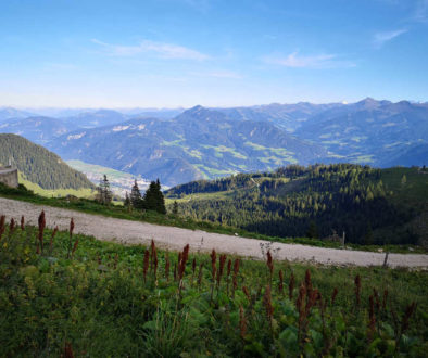 Pilgern auf dem Jakobsweg - Entdecke Pilgerwege