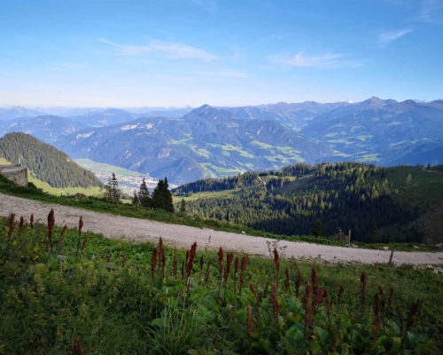 Pilgern auf dem Jakobsweg - Entdecke Pilgerwege