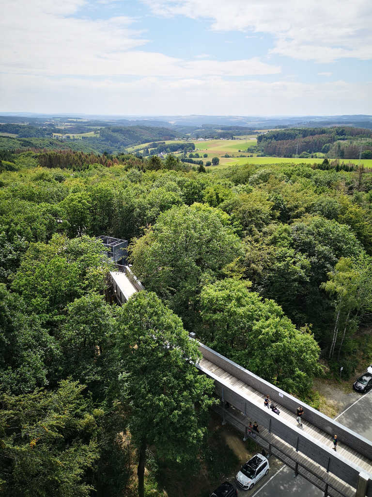 Baumwipfelpfad in Waldbröl