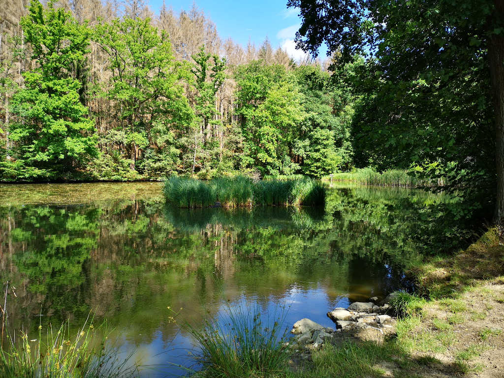 Bergischer Streifzug Nr. 21