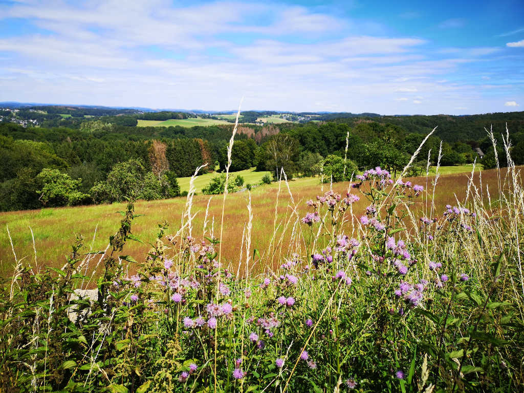 Ausblick über die Felder