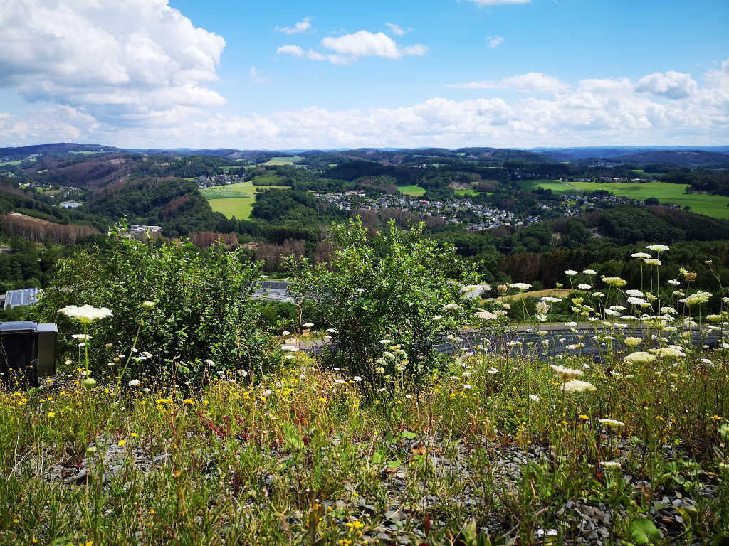 Ausblick genießen