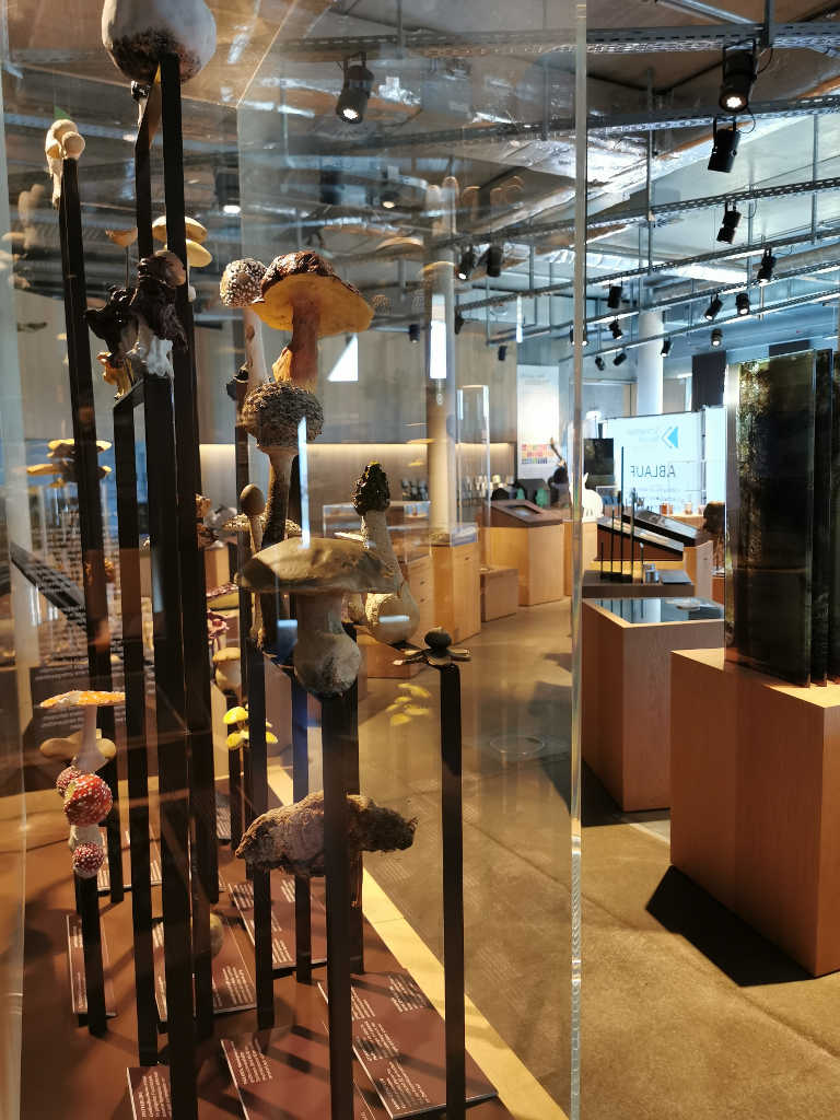 Science Center Ausstellung