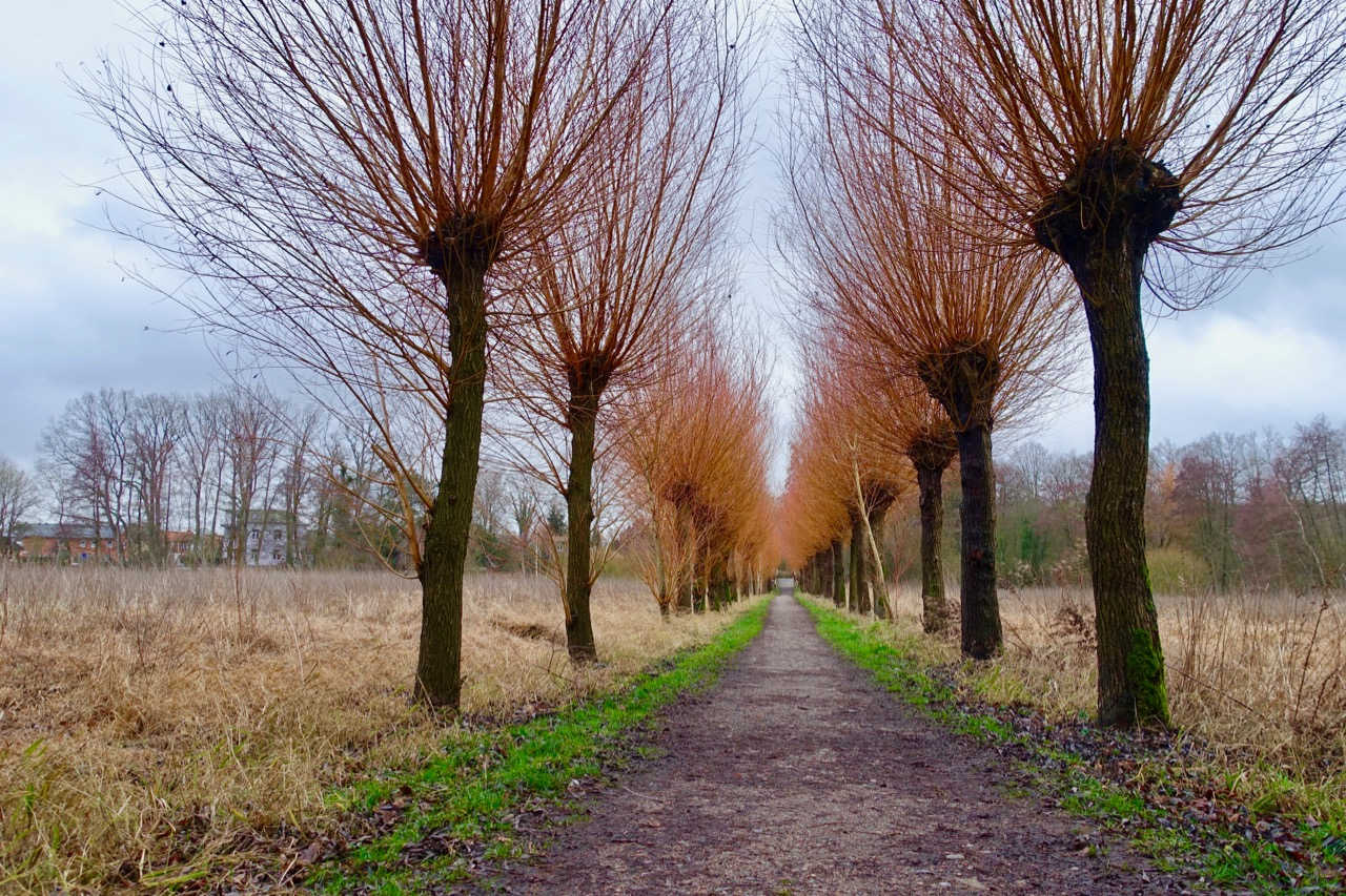 Natur in Bad Bevensen ©SPANESS