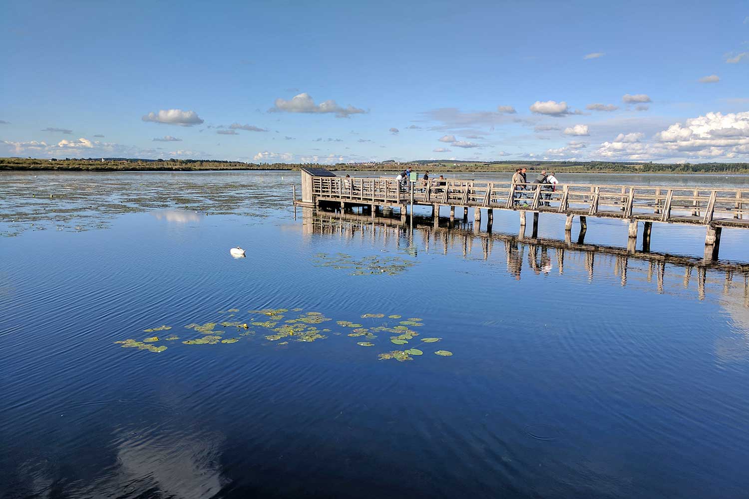 Bad Buchau Federsee ©Blanzelot