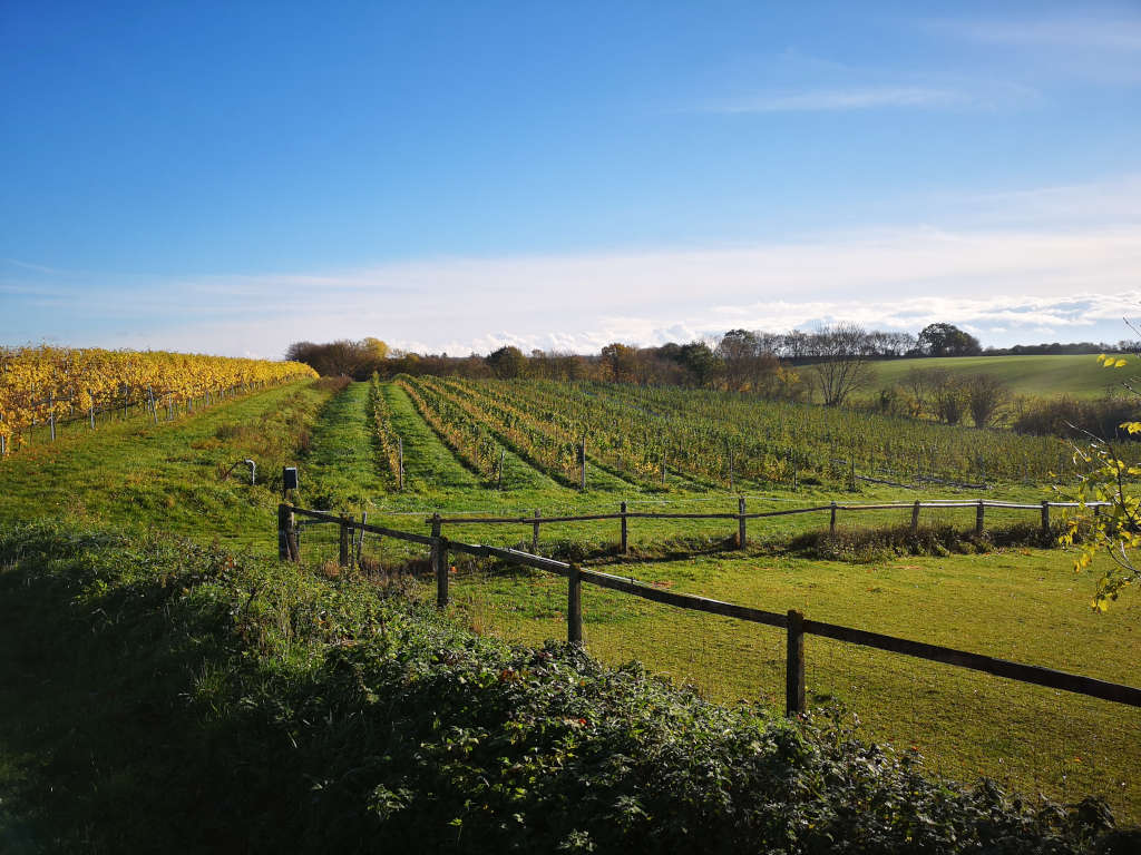 Bad Malente - Weingut Ingenhof