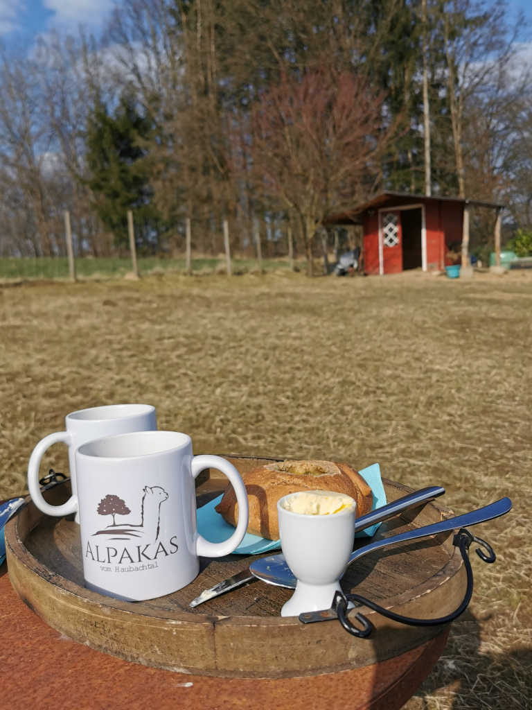 Picknick auf der Alpaka Wiese