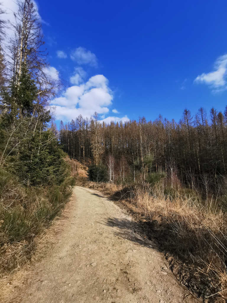 Wanderung in Waldbröl