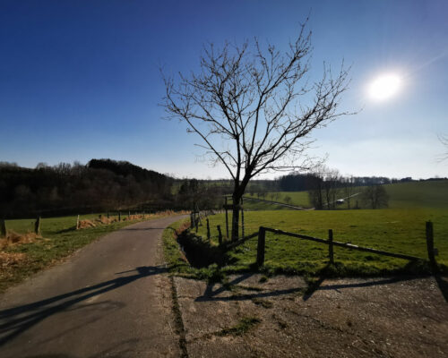 Ausflugsziele NRW Bergisches Land Wandernund Erholung (254)