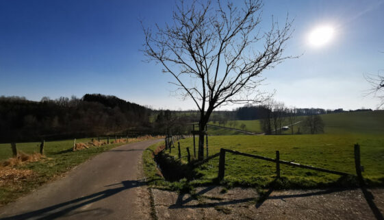 Ausflugsziele NRW Bergisches Land Wandernund Erholung (254)