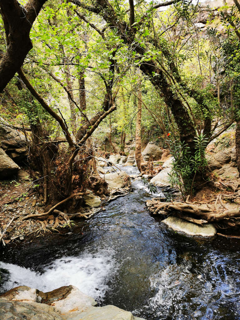 Richtis Schlucht