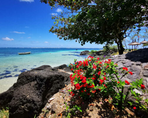 Mauritius Erholung am Strand - Yoga im Urlaub