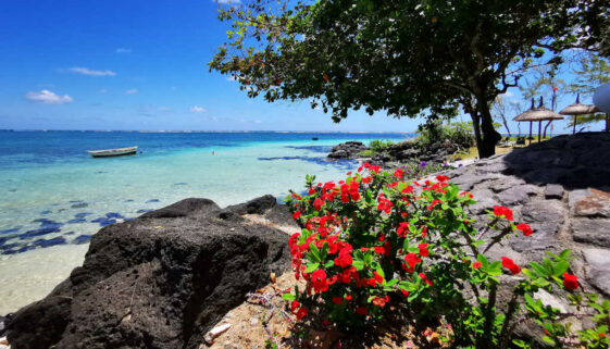 Mauritius Erholung am Strand - Yoga im Urlaub