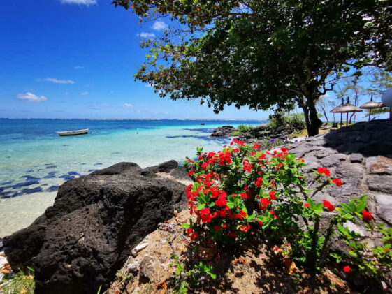 Mauritius Erholung am Strand - Yoga im Urlaub