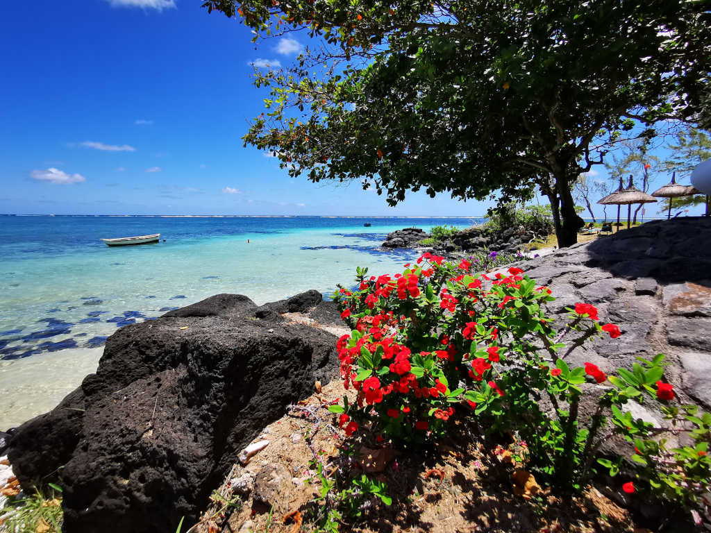 Yoga im Urlaub Mauritius Erholung am Strand - Yoga im Urlaub