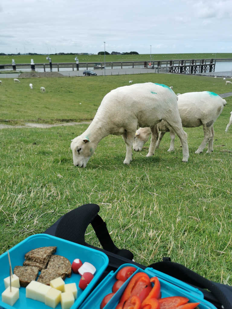 Picknick am Deich