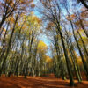 Ausflugsziele im Herbst