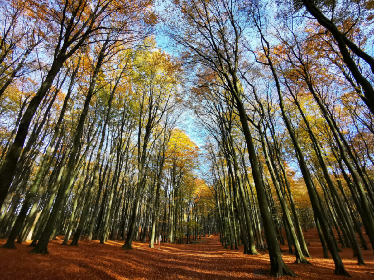 Ausflugsziele im Herbst