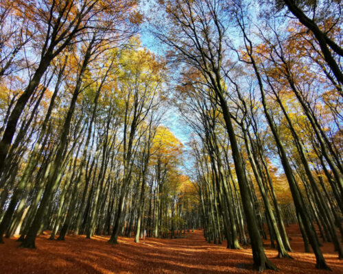 Ausflugsziele im Herbst