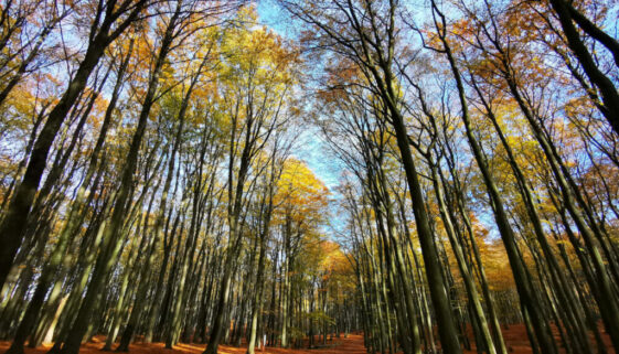 Ausflugsziele im Herbst