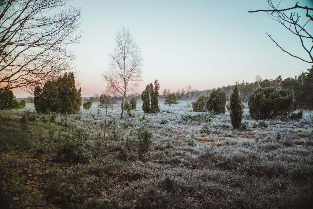 Rangerwanderung in der Lüneburger Heide ©TracksandtheCity