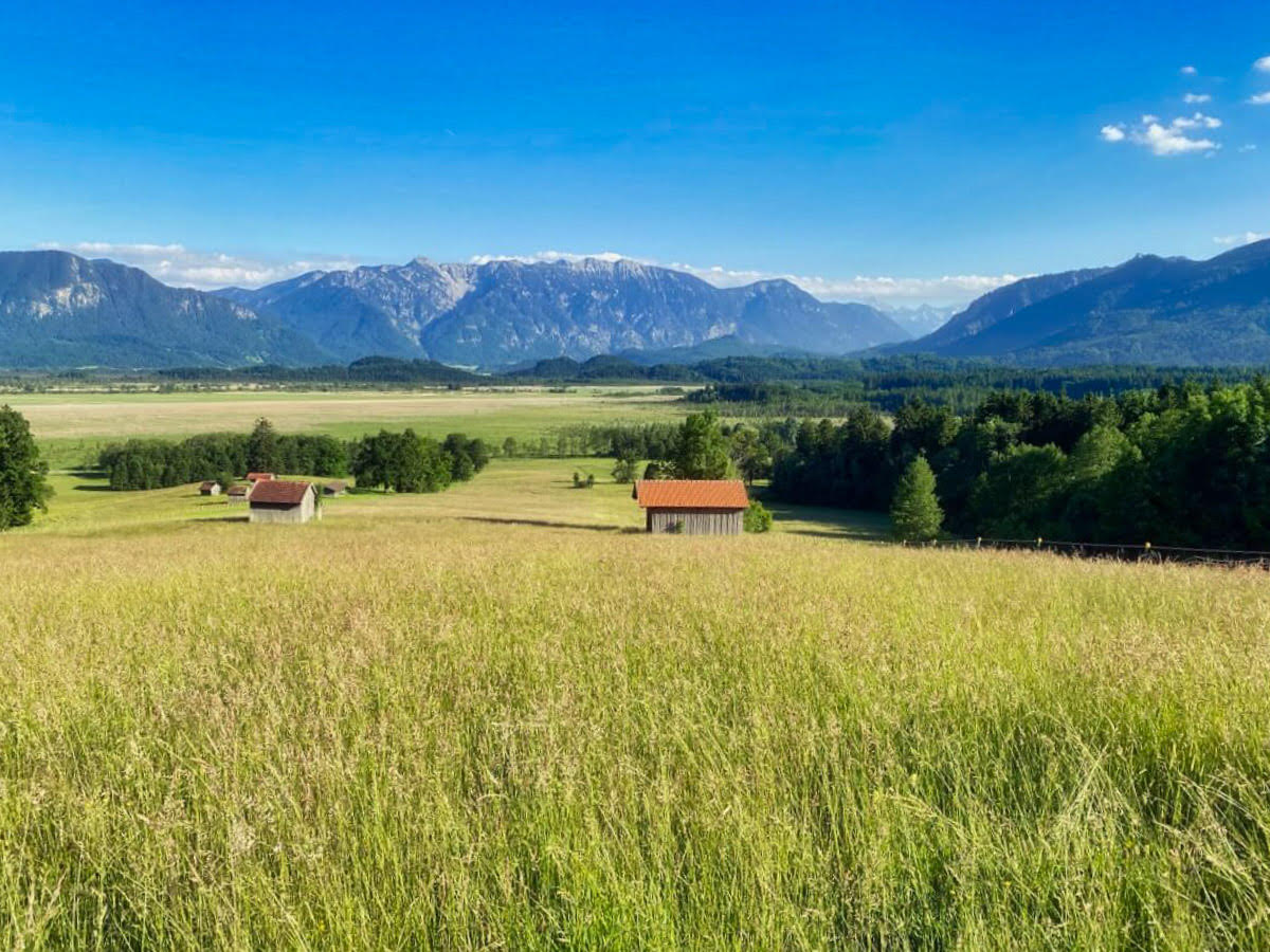 Frühlingswanderung im Murnauer Moos ©Kekse und Koffer