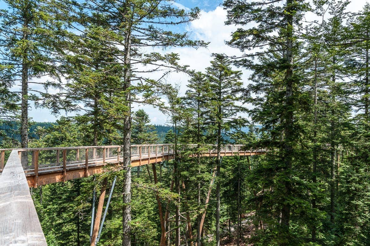 Baumwipfelpfad im Schwarzwald ©snoopsmaus Baumwipfelpfad im Schwarzwald ©snoopsmaus
