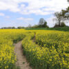 12 Ausflugsziele im Frühling