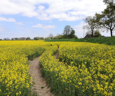 12 Ausflugsziele im Frühling