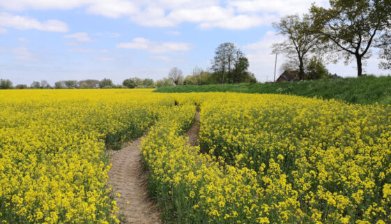 12 Ausflugsziele im Frühling