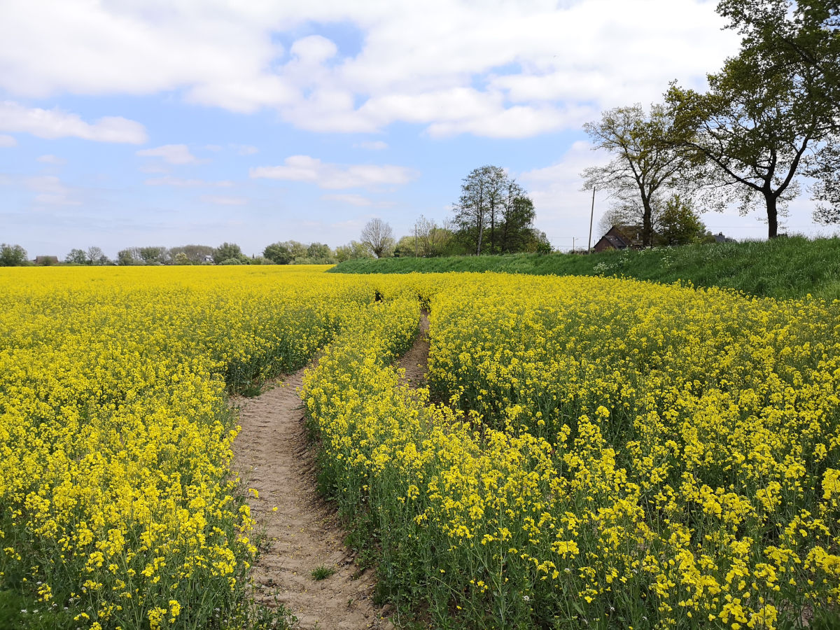 12 Ausflugsziele im Frühling