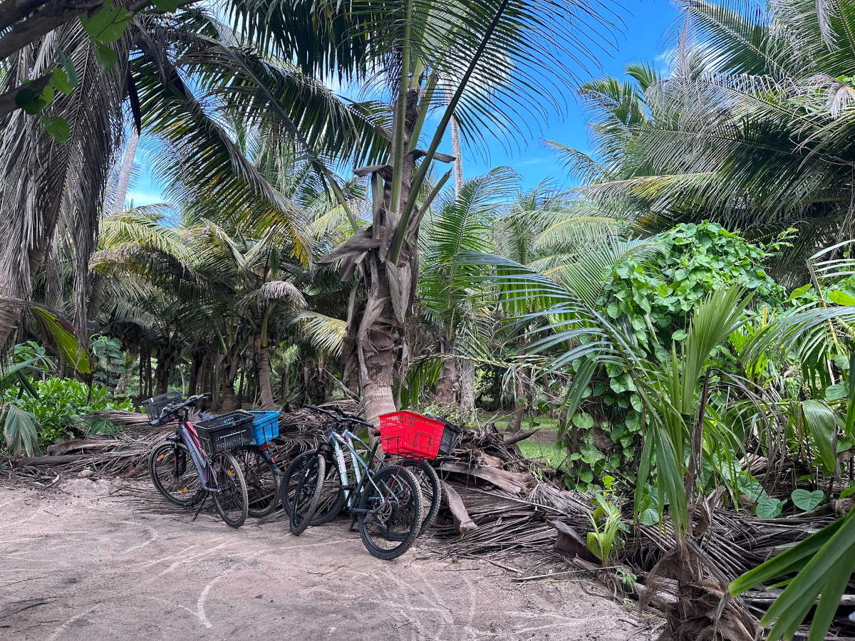 Fahrradtour zum Grand Anse Beach