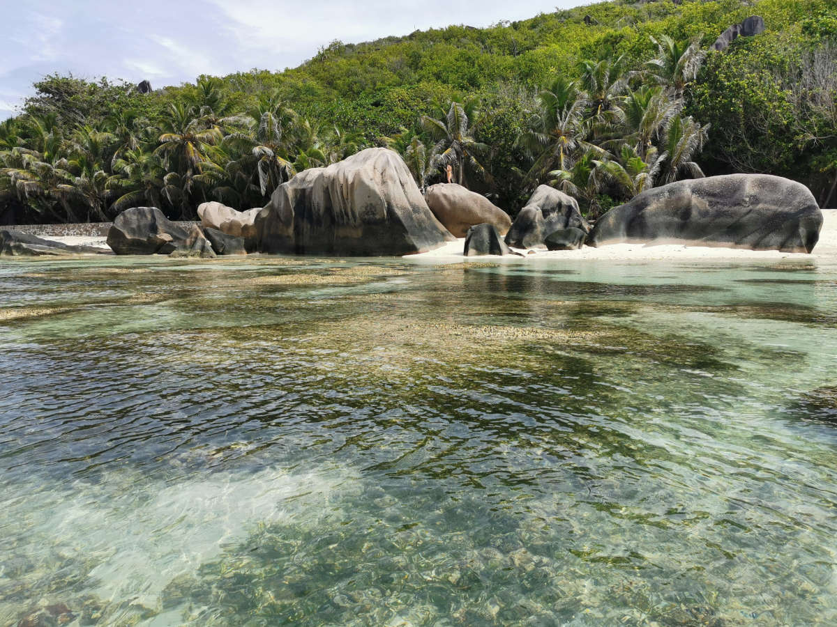 Anse Source d´Argent - Schwimmen im Meer