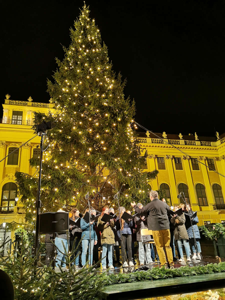 Weihnachtssingen unterm Tannenbaum